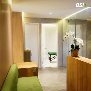 BSI-2